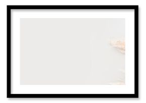 Trendy botanical background with fluffy pampas grass. Interior design, boho style plant home decor