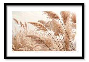 dry fluffy flowers beige pastel color boho background
