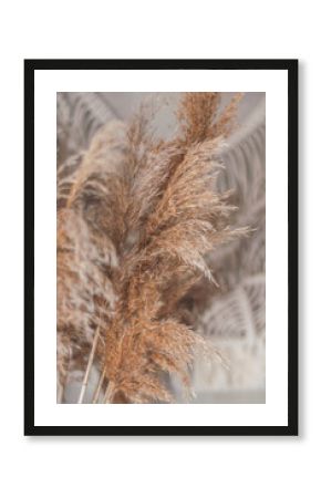 dried wild flowers in boho style in the living room