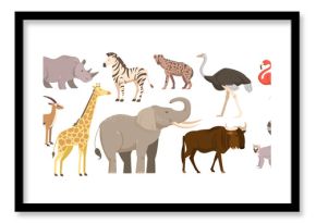 Set of african animals and birds. Fauna of africa savanna. Rhino, elephant, giraffe, flamingo, zebra