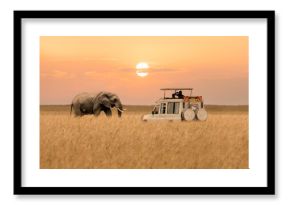 African elephant walking with tourist car stop by watching during sunset at Masai Mara National Reserve Kenya.