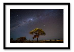 Milky Way in Etosha National Park, Namibia