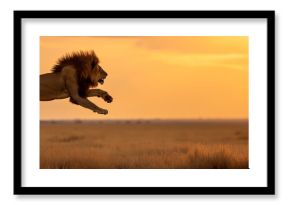 Lion jump in savanna africa, Panorama view. Generative AI