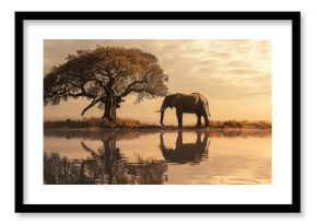 Arid Beauty: Elephant & Old Trees Scenery Wallpaper and Design, Generative AI