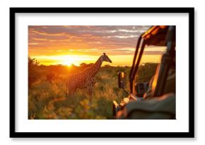 jeep safari in Africa at sunrise with Giraffe