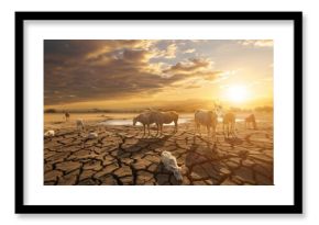 Animals searching for water in a dry, barren landscape, emphasizing the struggle for survival during drought.
