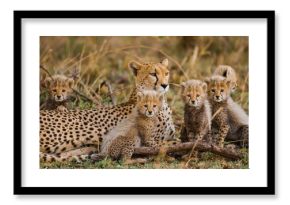Female cheetah with her cubs. Tanzania. Serengeti National Park. Africa.