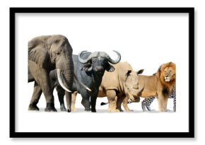 Big five game isolated on white
