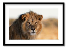 Portrait of a King