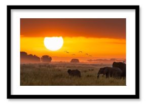 Elephants at sunrise in Amboseli, Horizonal Banner