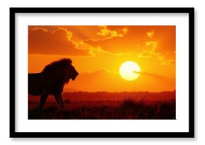 Silhouette of a majestic lion in the savannah at sunset, wildlife, landscape