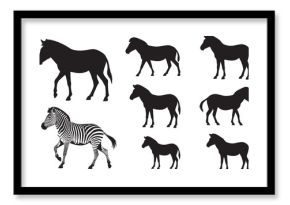 Zebra Silhouettes – Solid Black & Outline Vector Set