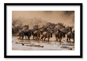 A massive migration of wildebeest crossing a river, creating a dramatic spectacle of nature. The herd faces challenges, showing determination, resilience, and survival