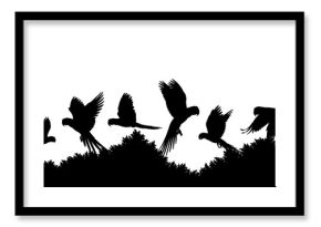Black silhouette illustrations of parrots flying over acacia trees isolated on transparent background