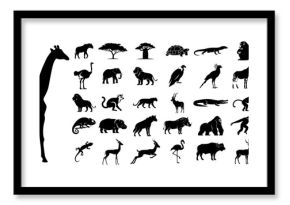 African Safari Animals Silhouette Set Wildlife Icons Vector Collection