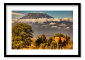 Kilimanjaro and elephant, Amboseli National Park
