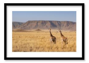 Namibian landscape featuring open savanna and rugged mountains, with two giraffes in the foreground