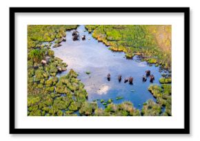 Aerial view to wild nature of Delta Okavango in Botswana.