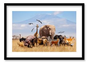 Group of many African animals giraffe, lion, elephant, monkey and others stand together in with Kilimanjaro mountain on background