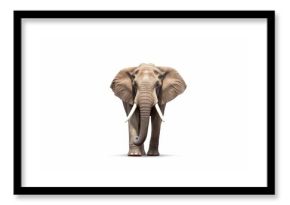 elephant approaching isolated on white background. Generative AI technology.