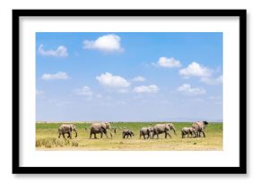 Herd of elephants in Amboseli National Park, Kenya