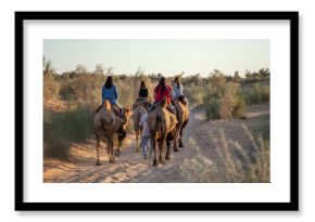 a travels traveling in camel