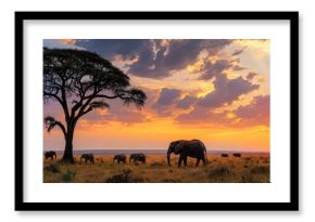 herd of elephants trekking across the African savanna under a breathtaking sunset