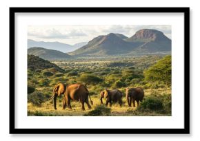 Family of elephants grazing in Tsavo West National Park, with the rugged terrain and bushland in the background.
