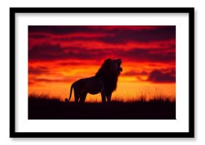 silhouette of a lion roaring at sunset