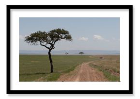 Africa, Kenya, Masai Mara National Reserve. 2016-08-04