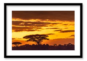 African sunset, Amboseli National Park