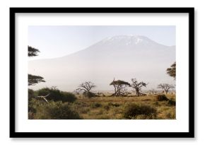 Kilimanjaro Mountain