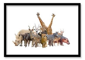 group of africa animals