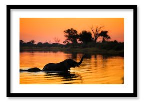 Elephants in Bwabwata National Park - Namibia