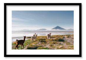 Bolivia
