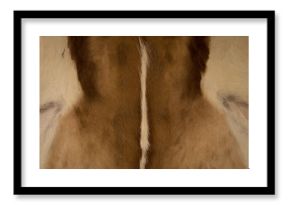 Animal body part in safari park