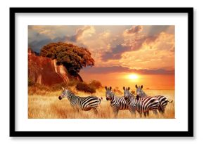Zebras in the African savanna against the backdrop of beautiful sunset. Serengeti National Park. Tanzania. Africa.
