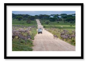 africa safari kenya and tanzania
