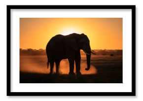 Elephant silhouette at sunset in Africa, majestic wild animal at golden hour