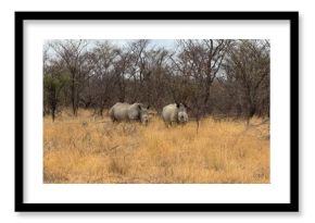 Safari trip to South Africa