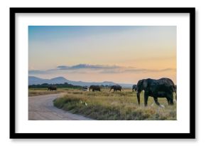 Kenya is a country in East Africa with a coastline on the Indian Ocean.