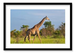 Kruger National Park, South Africa