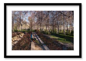 paw ptak kolorowy zwierze ogon 