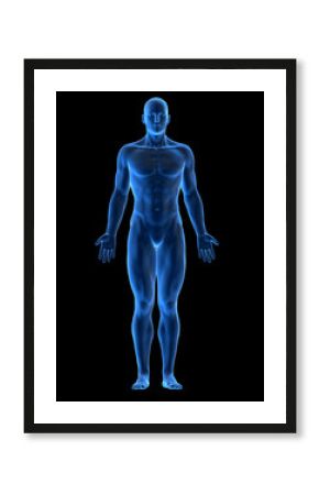 male body