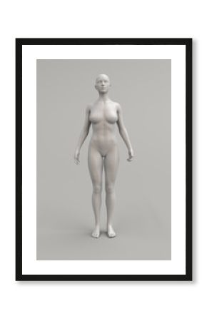 Female body anatomical illustration over a light background. 3D render.