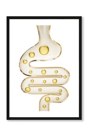 intestine with small ball, medical concept of human anatomy intestine with gas, healthy gut 3d illustration.