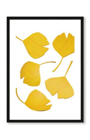 3d 나뭇잎 가을 단풍잎