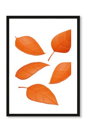 3d 나뭇잎 가을 단풍잎