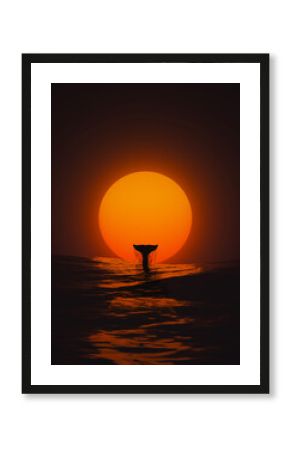 Majestic Whale Tail Against Vibrant Sunset Over Ocean Waters