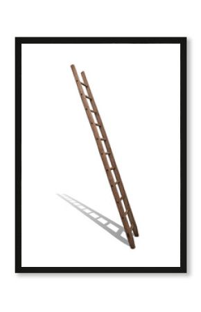wooden ladder